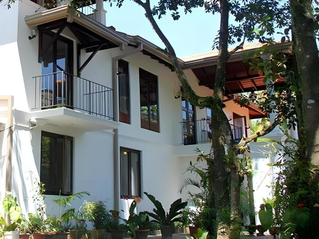 The Mgs Hotel Elpitiya  Exteriör bild