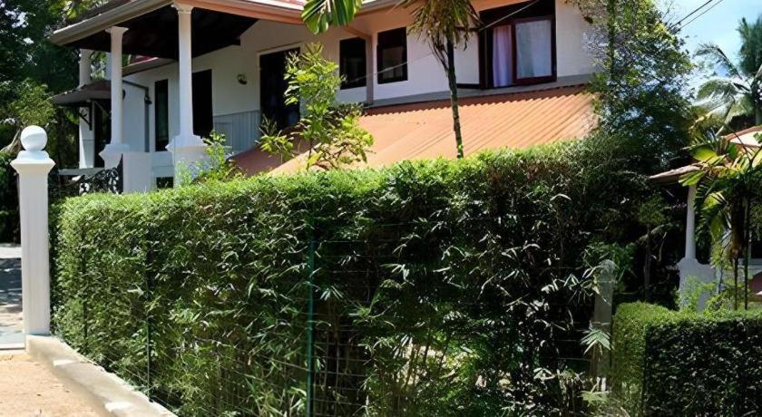 The Mgs Hotel Elpitiya  Exteriör bild